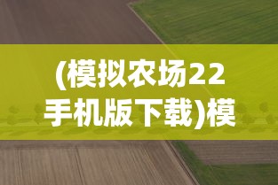 (逃离乌托邦在线观看全集纪录片)逃离乌托邦，朝鲜真实面貌的深度探索
