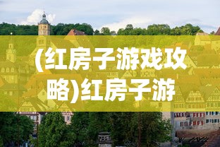 (红房子游戏攻略)红房子游戏攻略手册，深度解析与手交指南