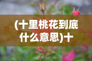 (十里桃花到底什么意思)十里桃花后面一句，绽放的美丽传奇