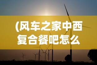 (风车之家中西复合餐吧怎么样)风车之家全面攻略，玩转风车之家的秘诀