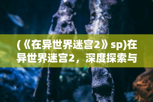 (《在异世界迷宫2》sp)在异世界迷宫2，深度探索与未知冒险的继续