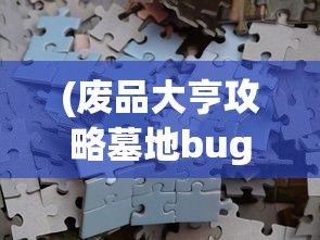 (废品大亨攻略墓地bug)废品大亨攻略大全及常见问题解答