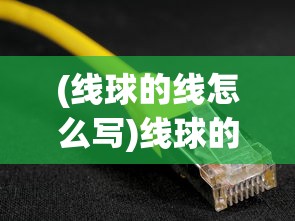 (迁跃者d)跃迁旅人圆子，探索与发现之旅