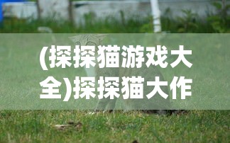 (工匠物语2水晶不减反加)工匠物语2水晶修改不封，深度解析与常见问题解答