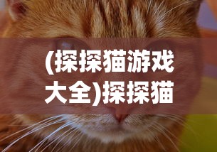 (探探猫游戏大全)探探猫大作战全面攻略及常见问答