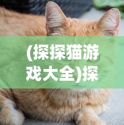 (探探猫游戏大全)探探猫大作战全面攻略及常见问答