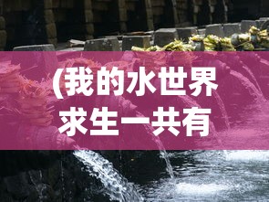 (我的水世界求生一共有几个岛)揭秘我的水世界求生三大DLC内容解析