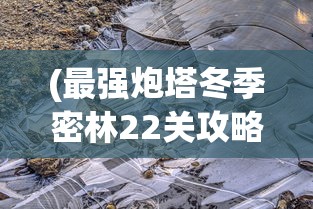 (最强炮塔冬季密林22关攻略视频)最强炮塔冬季密林第22关攻略详解与常见问题解答