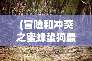 (冒险和冲突之蜜蜂蛰狗最新版本更新内容)冒险与冲突的交织，探索未知的边界
