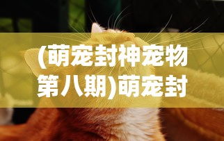 (萌宠封神宠物第八期)萌宠封神更新后的新名字揭秘，探索背后的故事与期待