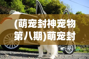 (萌宠封神宠物第八期)萌宠封神更新后的新名字揭秘，探索背后的故事与期待