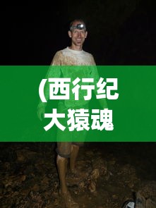 (西行纪大猿魂特别篇免费观看)西行纪大猿魂，深度解析与探索