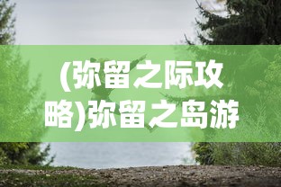 (弥留之际攻略)弥留之岛游戏，探索神秘岛屿的冒险之旅