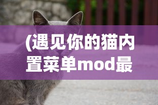 (遇见你的猫内置菜单mod最新版下载)遇见你的猫内置菜单mod最新版，游戏探索与详解