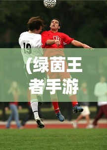 (千鸟飞绝手游)千鸟飞绝，内置菜单下的全部异兽探索