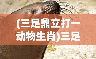 (三足鼎立打一动物生肖)三足鼎立打一动物——探索神秘动物世界中的三足现象