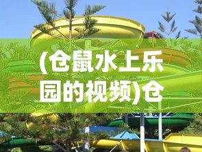 (仓鼠水上乐园的视频)仓鼠水上乐园，乐园体验与深度解析
