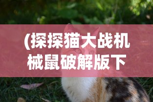 (传说法师手游修改器)传说法师手游修改，深度解析与常见问题解答