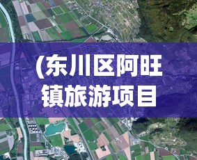 (东川区阿旺镇旅游项目)东川阿旺镇首富揭秘，谁是真正的首富？