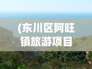 (东川区阿旺镇旅游项目)东川阿旺镇首富揭秘，谁是真正的首富？