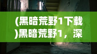 (黑暗荒野1下载)黑暗荒野1，深入解析与探索