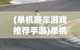 (单机赛车游戏推荐手游)单机赛车游戏推荐，速度与激情的最佳体验