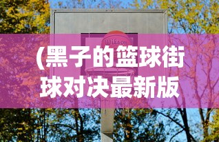 (黑子的篮球街球对决最新版本下载)黑子的篮球街球对决最新版，游戏解析与常见问题解答