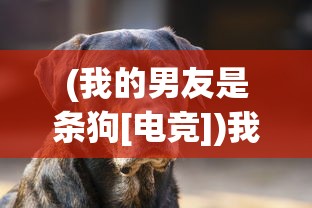 (我的男友是条狗[电竞])我的男友是条狗，一场跨越物种的奇妙情感之旅