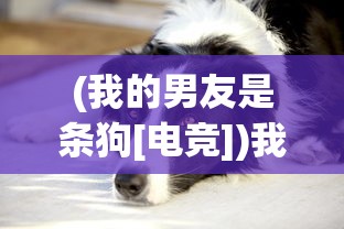 (我的男友是条狗[电竞])我的男友是条狗，一场跨越物种的奇妙情感之旅
