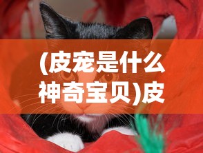 (皮宠是什么神奇宝贝)皮宠是什么，一种新兴宠物文化的独特体现