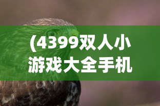 (4399双人小游戏大全手机版)4399双人小游戏大全，游戏选择与体验的全面指南