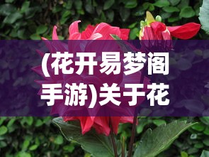 (花开易梦阁手游)关于花开易梦阁还能玩吗的全面解读