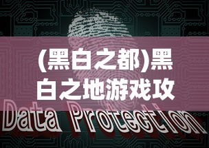 (黑白之都)黑白之地游戏攻略，玩转黑白之地的秘诀与策略