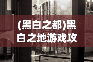 (黑白之都)黑白之地游戏攻略，玩转黑白之地的秘诀与策略