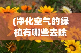 (净化空气的绿植有哪些去除烟味)净化空气的绿植，自然之肺的力量