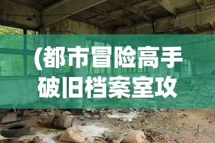 (都市冒险高手破旧档案室攻略33)都市冒险高手，破旧档案室攻略大全及常见问题解答