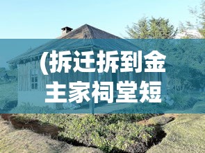 (拆迁拆到金主家祠堂短剧免费观看)拆迁背后的故事与挑战，深度解析拆迁现象及其影响
