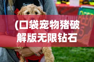 (口袋宠物猪破解版无限钻石下载)口袋宠物猪，时尚新潮的宠物选择