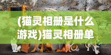 (猫灵相册是什么游戏)猫灵相册单机纪念版，深度解析与常见问题解答
