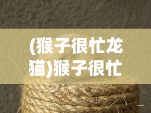 (逃脱者困境全部解锁版最新攻略)逃脱者困境全部解锁版最新，游戏深度解析与常见问题解答
