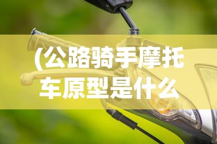 (公路骑手摩托车原型是什么)公路骑手摩托车原型，探索、激情与技术的融合