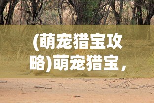 (萌宠猎宝攻略)萌宠猎宝，一款引人入胜的猎宝冒险游戏是否好玩？