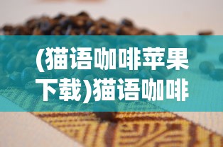 (梦想大航海英雄选择哪个)梦想大航海英雄选择，航海之路的决策与冒险之旅