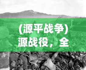 (源平战争)源战役，全新游戏解析