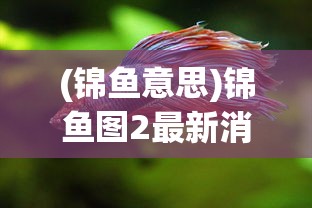 (project sekai台服官网)Project Sekai台服，深度分析与探索