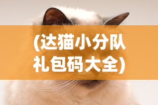 (达猫小分队礼包码大全)达猫小分队为何关服？深度解析背后的原因
