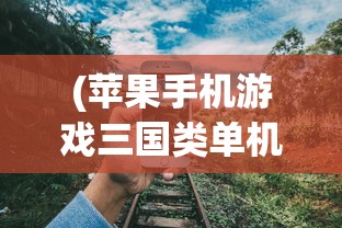 (苹果手机游戏三国类单机游戏)三国类单机游戏，历史与策略的深度交融