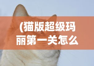 (猫版超级玛丽第一关怎么过)猫版超级玛丽手机版，经典游戏的重生与革新