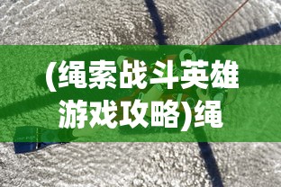(绳索战斗英雄游戏攻略)绳索战斗英雄游戏，英勇与策略的完美结合