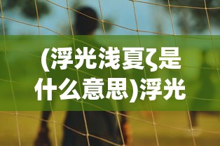 (浮光浅夏ζ是什么意思)浮光灼夏，探寻词语背后的意境与情感